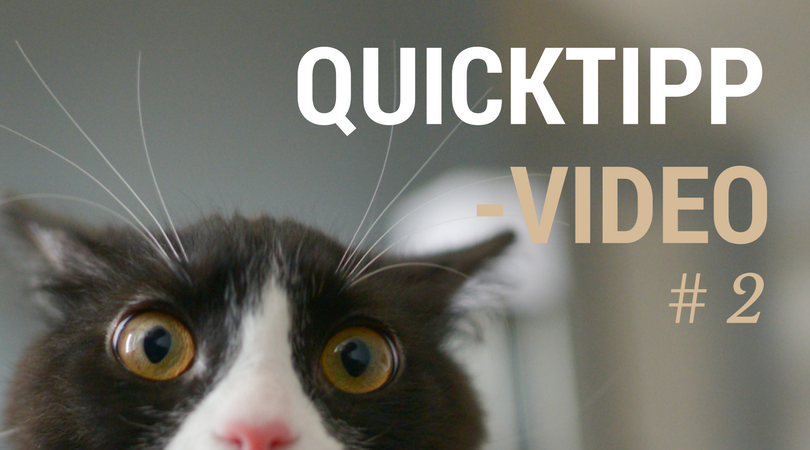 QuickTipp Video 2 Fülle